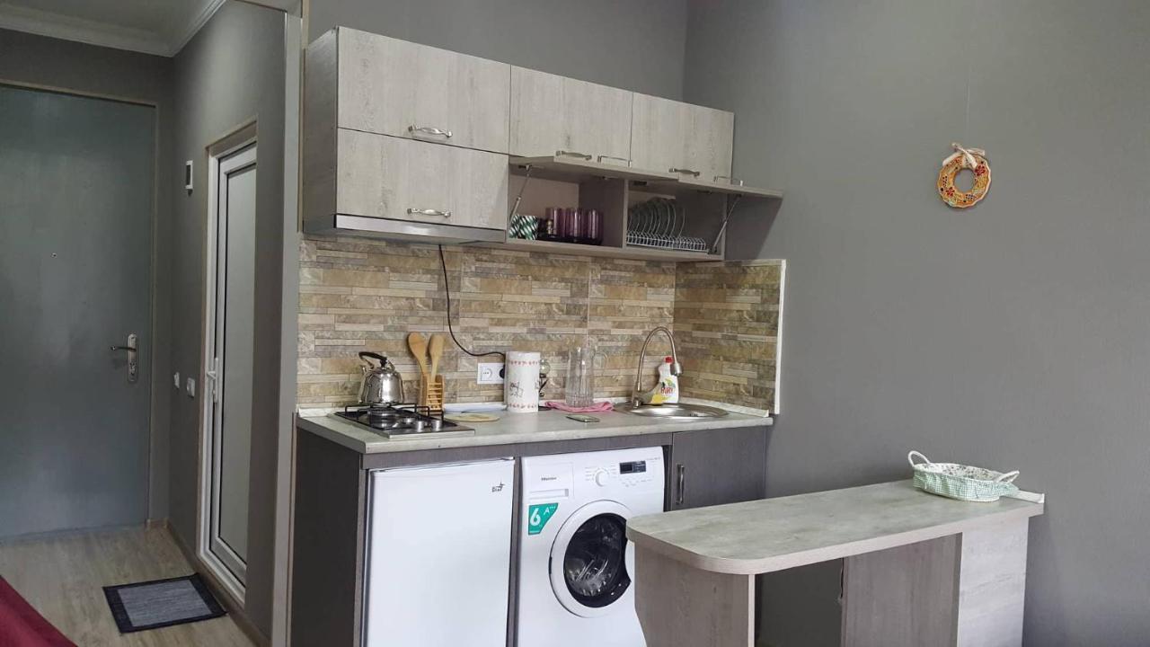 Mtis Kheoba Apartment Borjomi Bagian luar foto